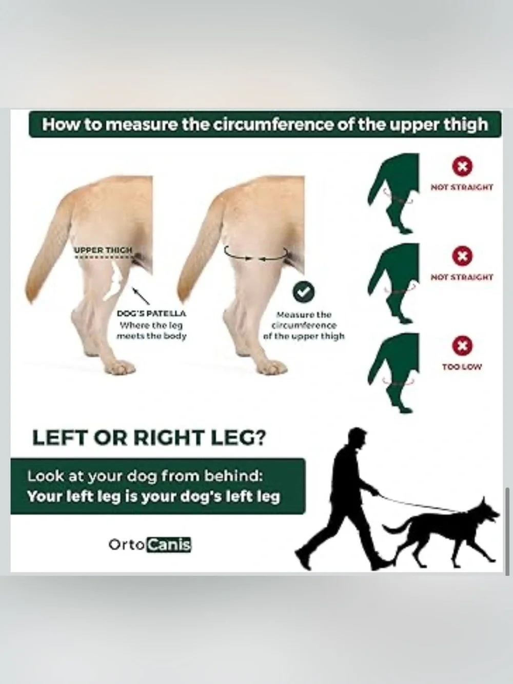 Ortocanis Dog Knee Brace for Hind Leg Support – Flexible Neoprene Knee Brace